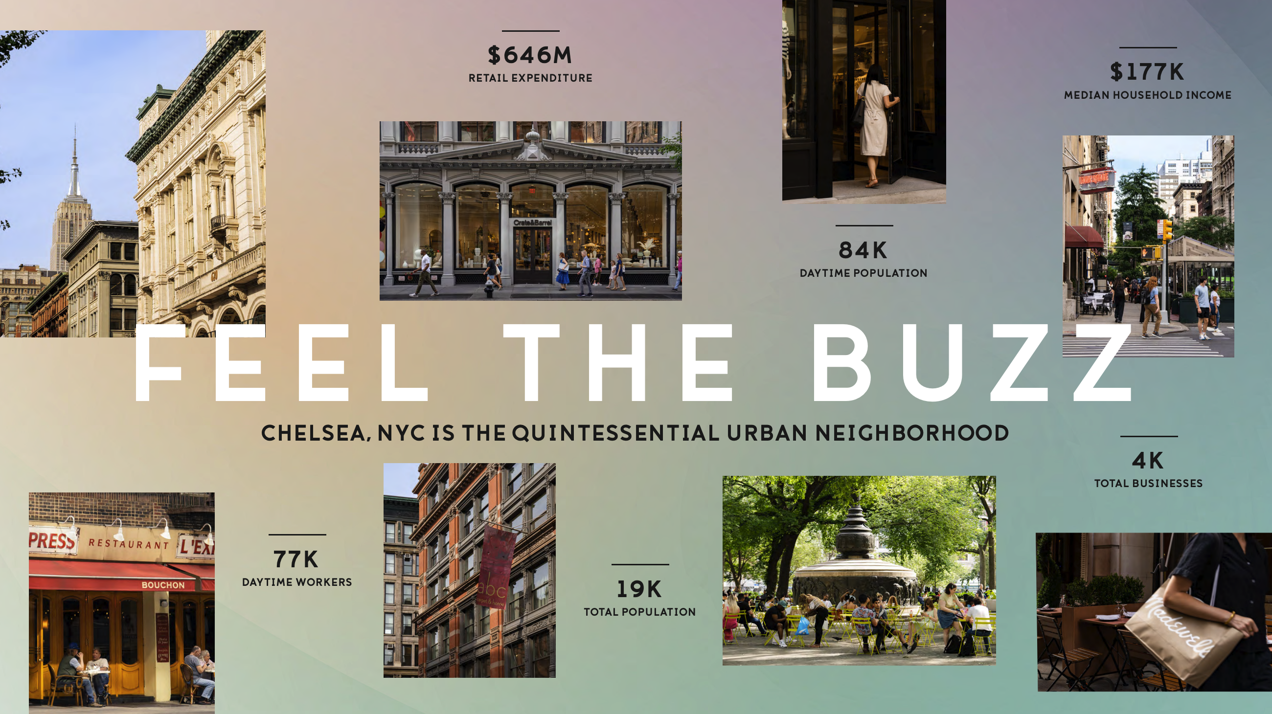 neighborhood stats
